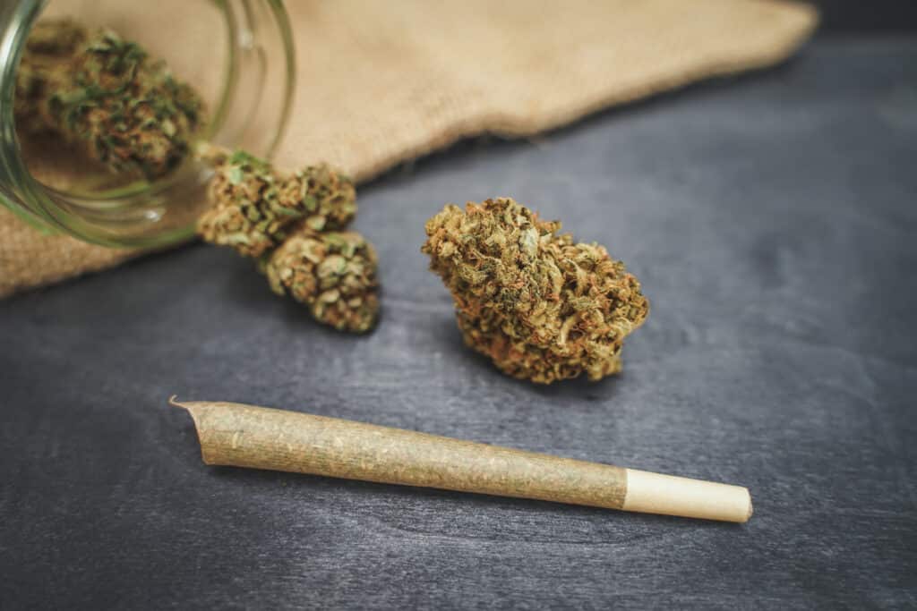 5 Things to Know About THCa